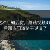 谁懂这种后知后觉，蘑菇视频iOS，背后那点门道终于说清了