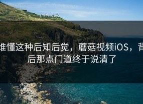 谁懂这种后知后觉，蘑菇视频iOS，背后那点门道终于说清了