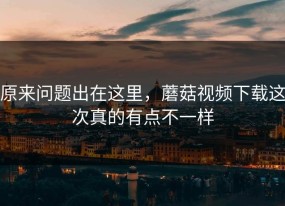 原来问题出在这里，蘑菇视频下载这次真的有点不一样