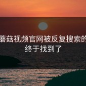 关于蘑菇视频官网被反复搜索的原因终于找到了