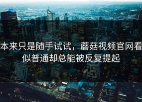 本来只是随手试试，蘑菇视频官网看似普通却总能被反复提起