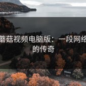 探秘蘑菇视频电脑版：一段网络文化的传奇
