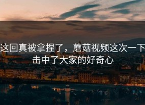 这回真被拿捏了，蘑菇视频这次一下击中了大家的好奇心