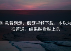 别急着划走，蘑菇视频下载，本以为很普通，结果越看越上头