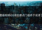 蘑菇视频iOS背后那点门道终于说清了