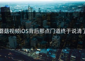蘑菇视频iOS背后那点门道终于说清了