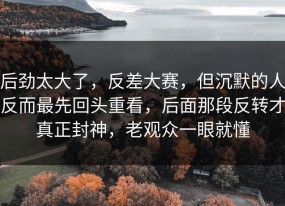 后劲太大了，反差大赛，但沉默的人反而最先回头重看，后面那段反转才真正封神，老观众一眼就懂