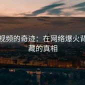 蘑菇视频的奇迹：在网络爆火背后隐藏的真相