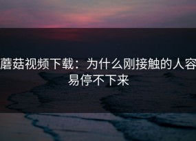 蘑菇视频下载：为什么刚接触的人容易停不下来