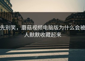 先别笑，蘑菇视频电脑版为什么会被人默默收藏起来