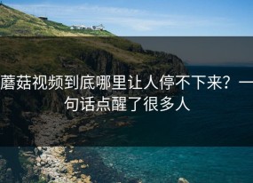 蘑菇视频到底哪里让人停不下来？一句话点醒了很多人