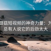 探秘蘑菇短视频的神奇力量：为何它总有人说它的后劲太大