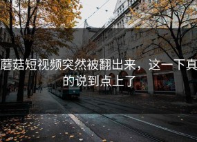 蘑菇短视频突然被翻出来，这一下真的说到点上了