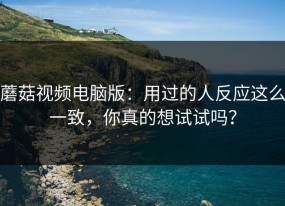蘑菇视频电脑版：用过的人反应这么一致，你真的想试试吗？