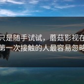 本来只是随手试试，蘑菇影视在线观看，第一次接触的人最容易忽略什么