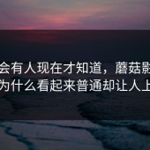 真的会有人现在才知道，蘑菇影视官网为什么看起来普通却让人上头