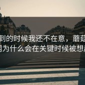 刚刷到的时候我还不在意，蘑菇视频官网为什么会在关键时候被想起来