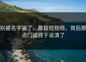 别被名字骗了，蘑菇短视频，背后那点门道终于说清了