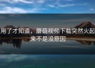 用了才知道，蘑菇视频下载突然火起来不是没原因