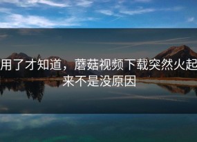 用了才知道，蘑菇视频下载突然火起来不是没原因