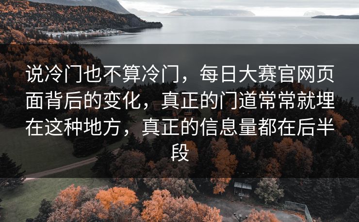 说冷门也不算冷门，每日大赛官网页面背后的变化，真正的门道常常就埋在这种地方，真正的信息量都在后半段