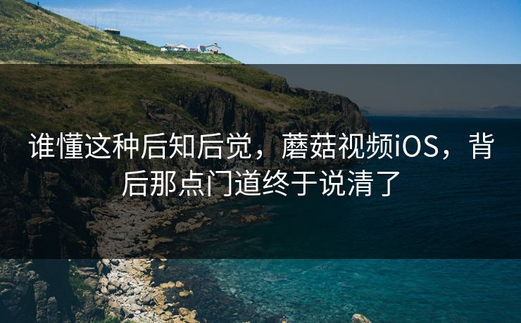 谁懂这种后知后觉，蘑菇视频iOS，背后那点门道终于说清了