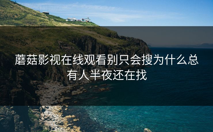 蘑菇影视在线观看别只会搜为什么总有人半夜还在找