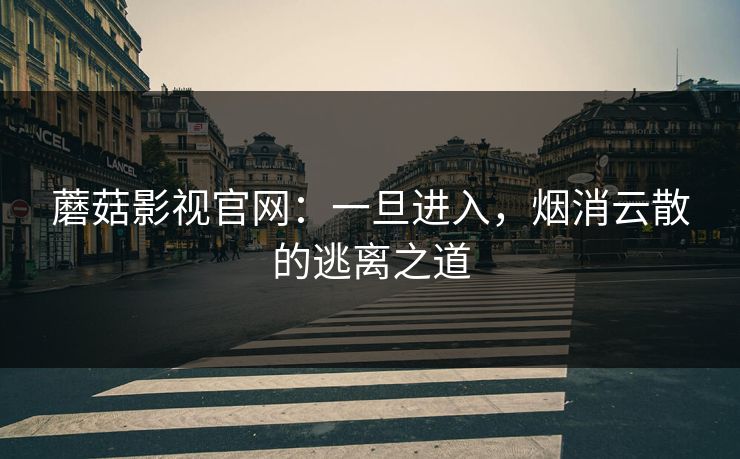 蘑菇影视官网：一旦进入，烟消云散的逃离之道