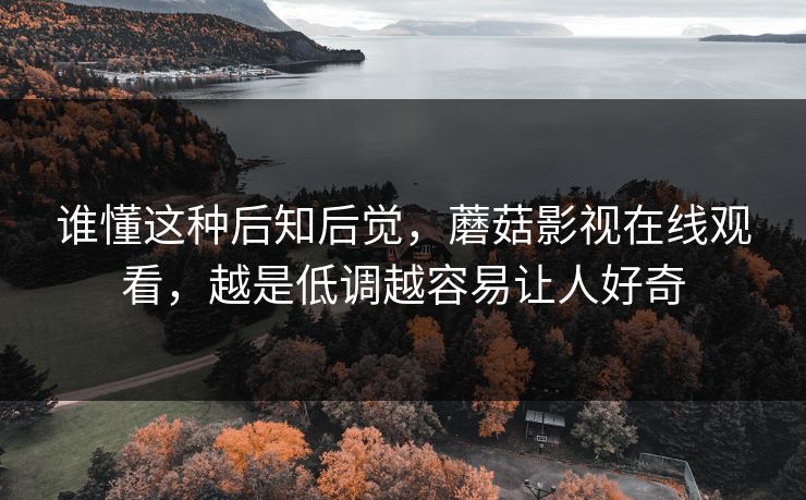 谁懂这种后知后觉，蘑菇影视在线观看，越是低调越容易让人好奇