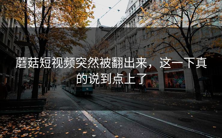蘑菇短视频突然被翻出来，这一下真的说到点上了