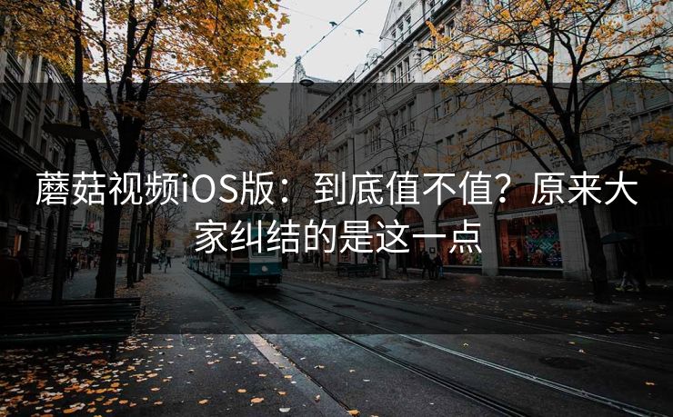 蘑菇视频iOS版：到底值不值？原来大家纠结的是这一点