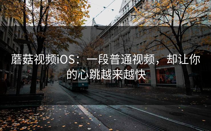蘑菇视频iOS：一段普通视频，却让你的心跳越来越快