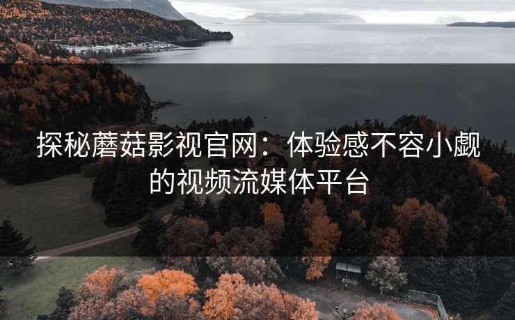 探秘蘑菇影视官网：体验感不容小觑的视频流媒体平台