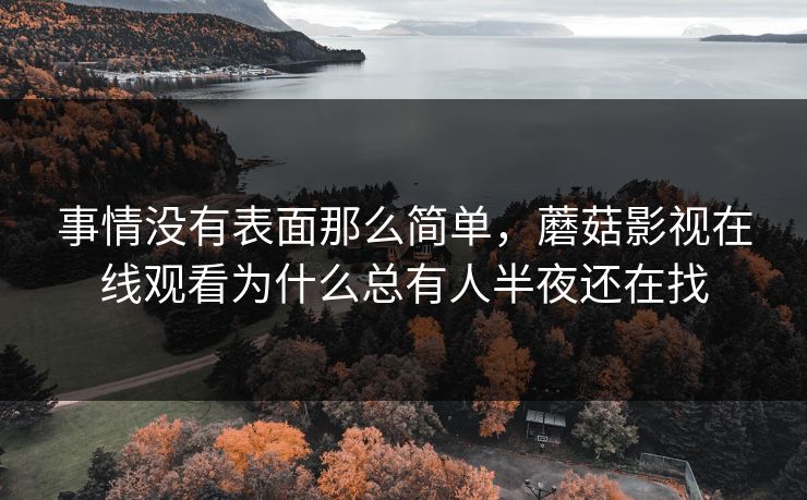 事情没有表面那么简单，蘑菇影视在线观看为什么总有人半夜还在找
