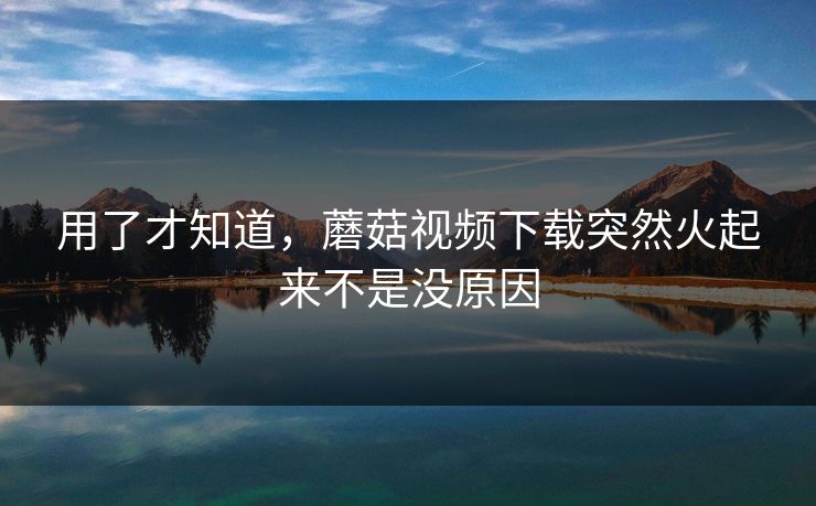 用了才知道，蘑菇视频下载突然火起来不是没原因
