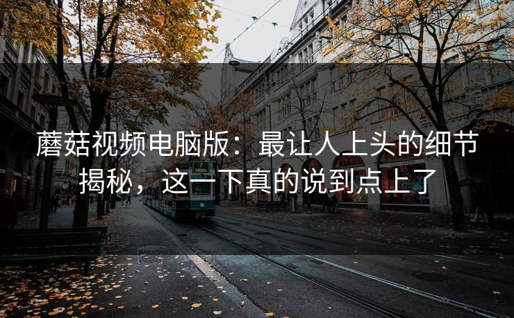 蘑菇视频电脑版：最让人上头的细节揭秘，这一下真的说到点上了