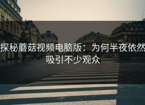 探秘蘑菇视频电脑版：为何半夜依然吸引不少观众