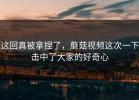 这回真被拿捏了，蘑菇视频这次一下击中了大家的好奇心