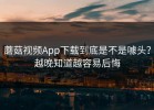 蘑菇视频App下载到底是不是噱头？越晚知道越容易后悔