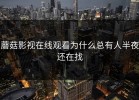 蘑菇影视在线观看为什么总有人半夜还在找
