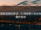 蘑菇视频的奇迹：在网络爆火背后隐藏的真相