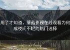 用了才知道，蘑菇影视在线观看为何成夜间不眠的热门选择