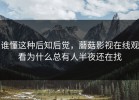 谁懂这种后知后觉，蘑菇影视在线观看为什么总有人半夜还在找