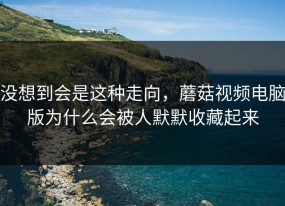 没想到会是这种走向，蘑菇视频电脑版为什么会被人默默收藏起来