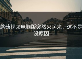 蘑菇视频电脑版突然火起来，这不是没原因