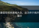 蘑菇短视频真相大白，这次终于揭开面纱
