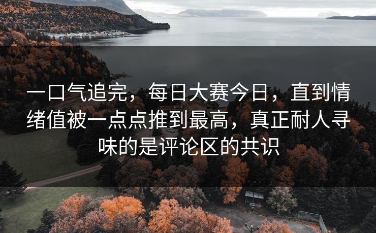 一口气追完，每日大赛今日，直到情绪值被一点点推到最高，真正耐人寻味的是评论区的共识