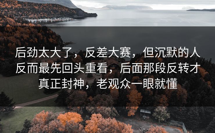 后劲太大了，反差大赛，但沉默的人反而最先回头重看，后面那段反转才真正封神，老观众一眼就懂